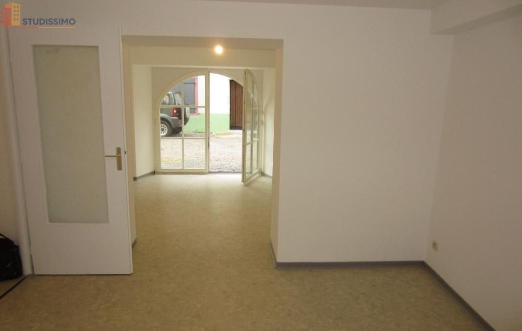 Studio 44m² Soultz-Haut-Rhin - Lumineux, 1 chambre - Photo 3