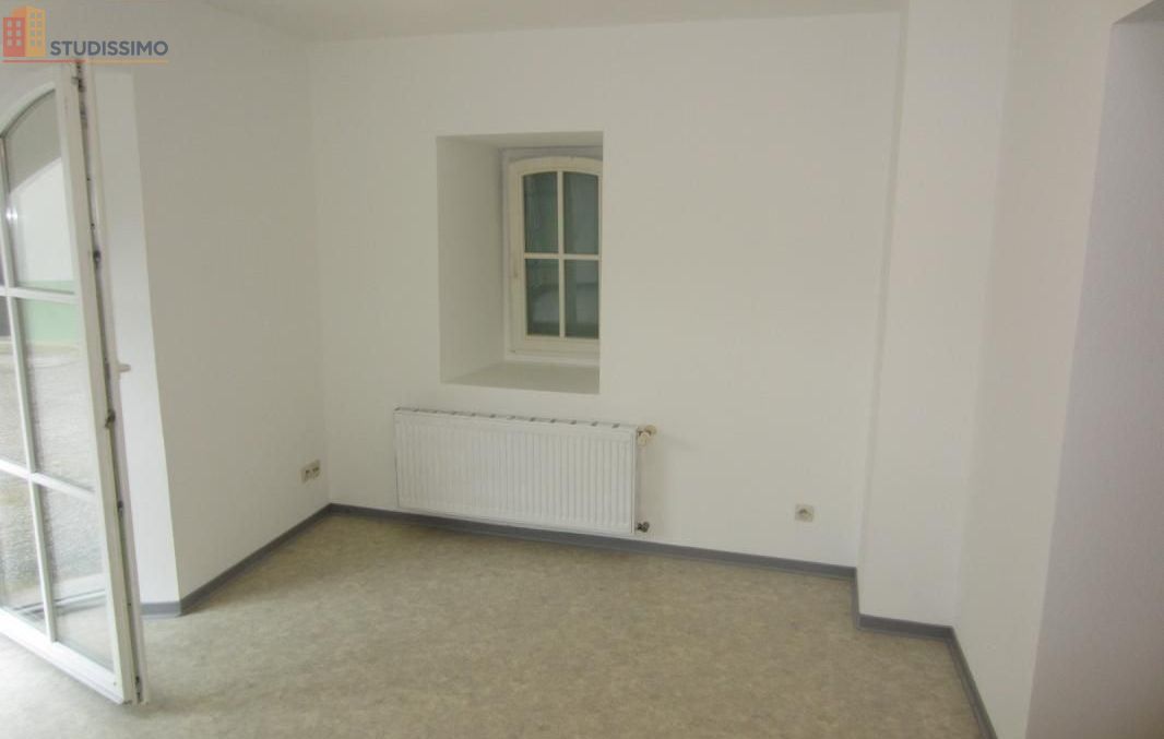 Studio 44m² Soultz-Haut-Rhin - Lumineux, 1 chambre - Photo 2
