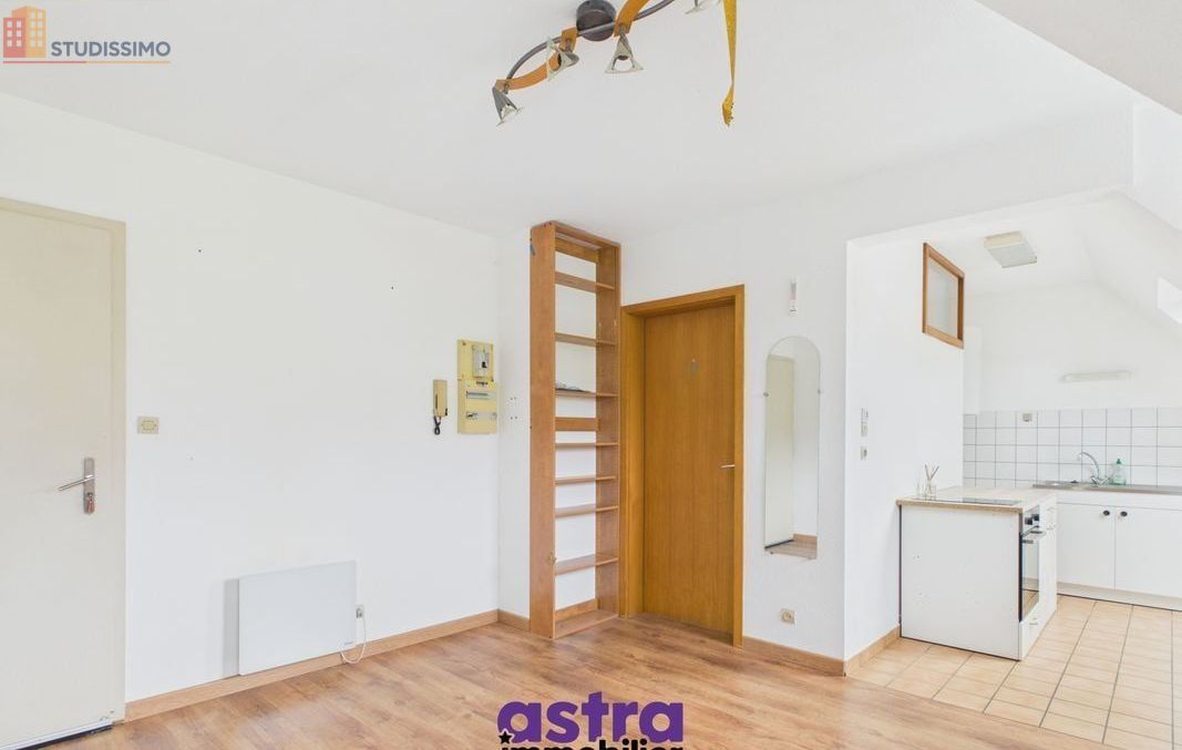 Studio 23m² Waldighofen - Étage élevé, lumineux - Photo 6