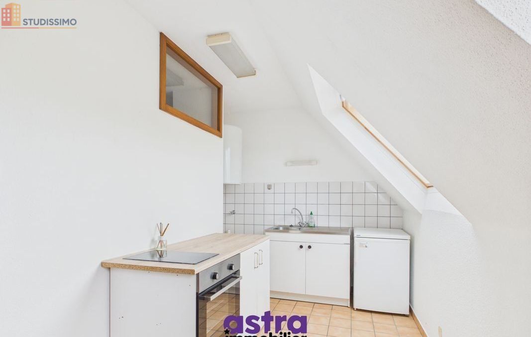Studio 23m² Waldighofen - Étage élevé, lumineux - Photo 5