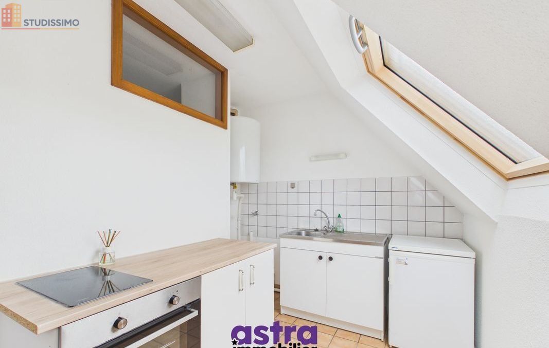 Studio 23m² Waldighofen - Étage élevé, lumineux - Photo 4