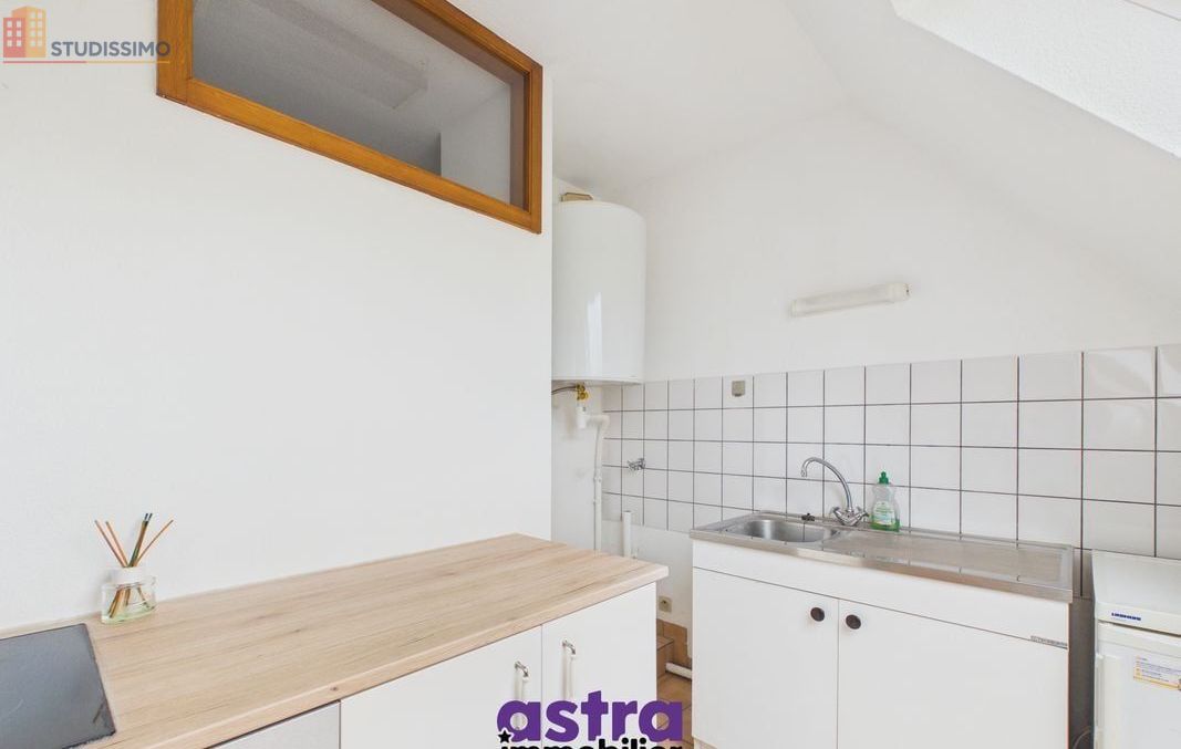 Studio 23m² Waldighofen - Étage élevé, lumineux - Photo 3