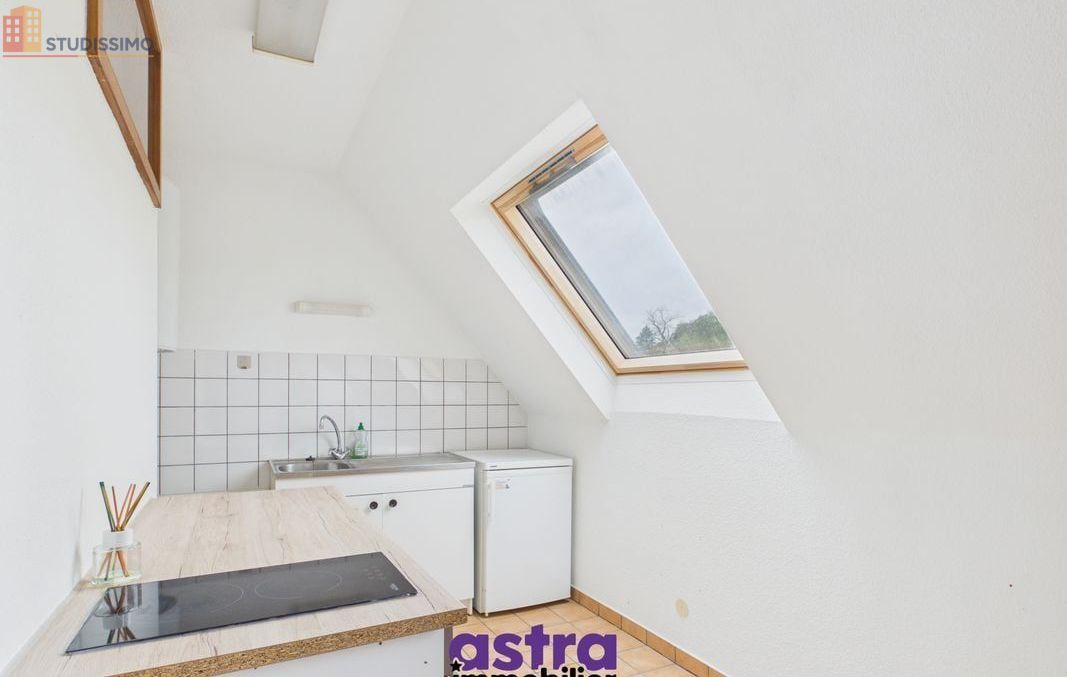 Studio 23m² Waldighofen - Étage élevé, lumineux - Photo 2