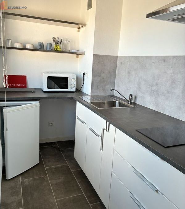 Studio 27m² Horbourg-Wihr - Lumineux, meublé - Photo 2