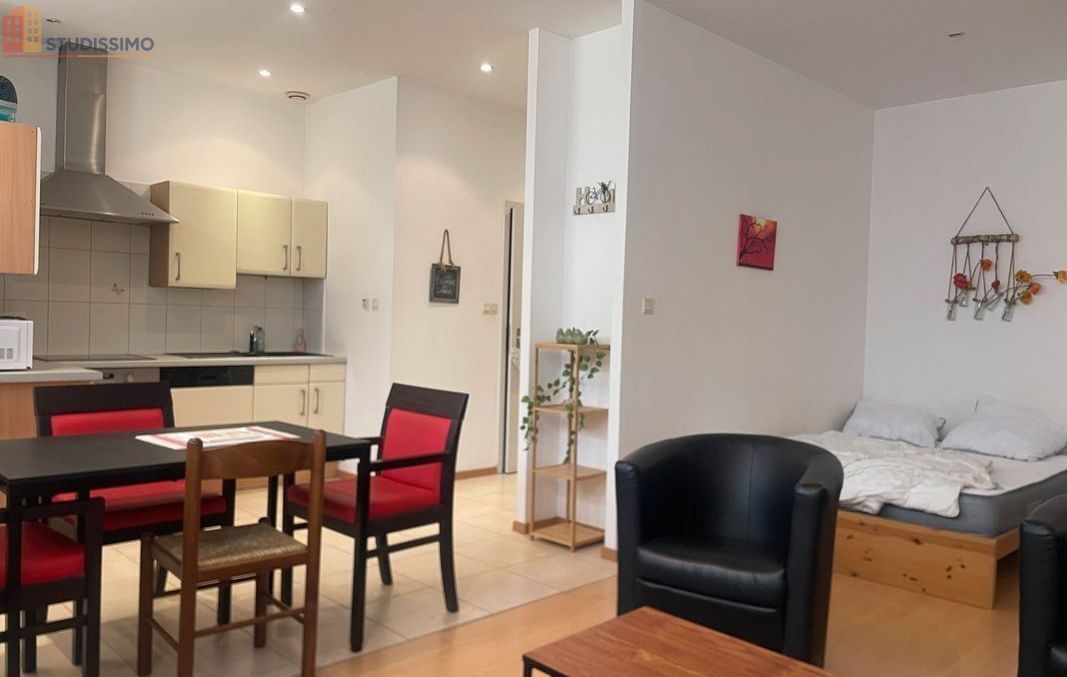 Studio 38m² Colmar - Maison de maître - Photo 2