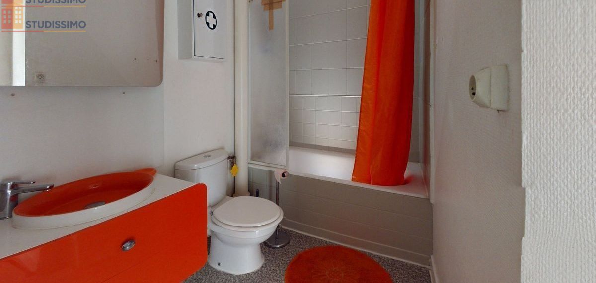Studio meublé 29m² Belfort - 2e étage, lumineux - Photo 1