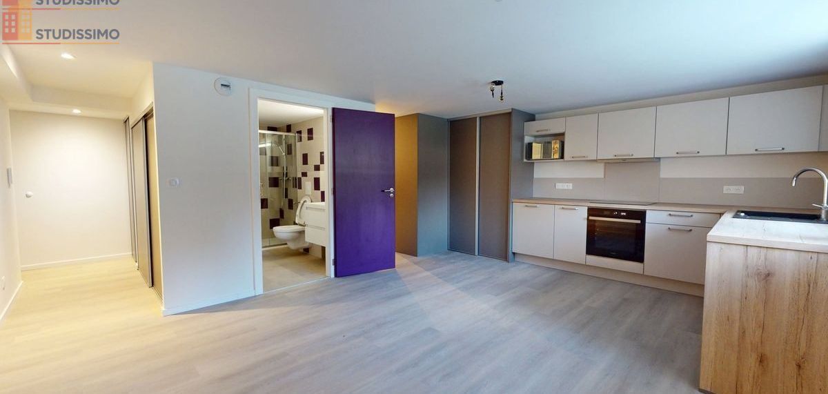 Studio 38m² Bavilliers - DPE C - Photo 8