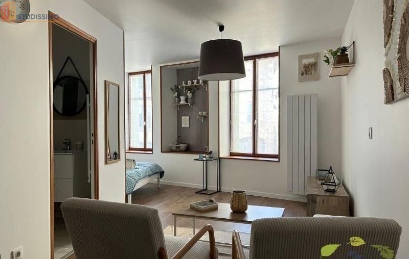 Studio meublé 28m² Saint-Léonard-de-Noblat - Meublé, 2e étage - Photo 10