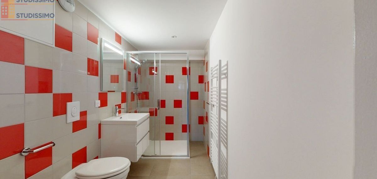 Studio 46m² Bavilliers - Spacieux, lumineux - Photo 6