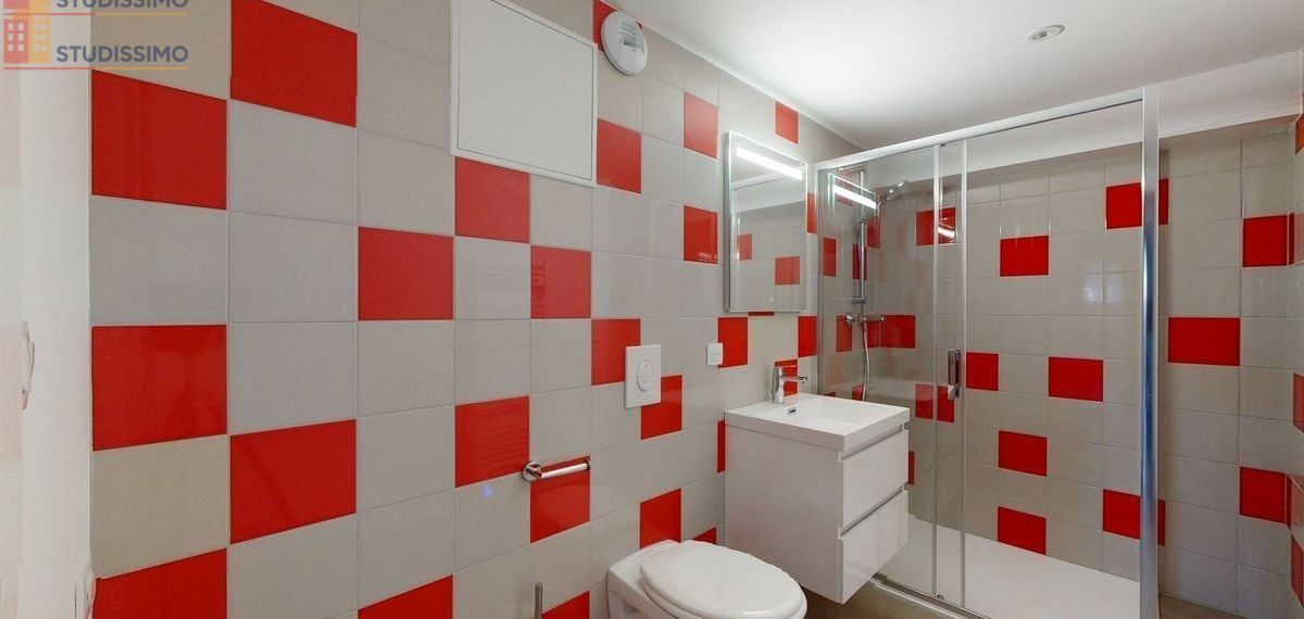 Studio 46m² Bavilliers - Spacieux, lumineux - Photo 5