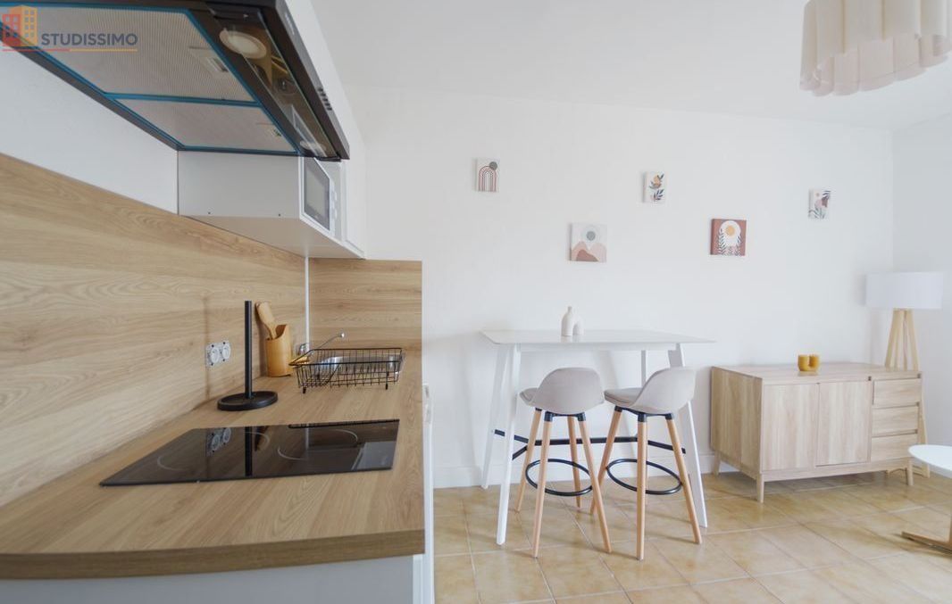 Studio meublé 19m² Mâcon - Lumineux, étage 3/4 - Photo 4