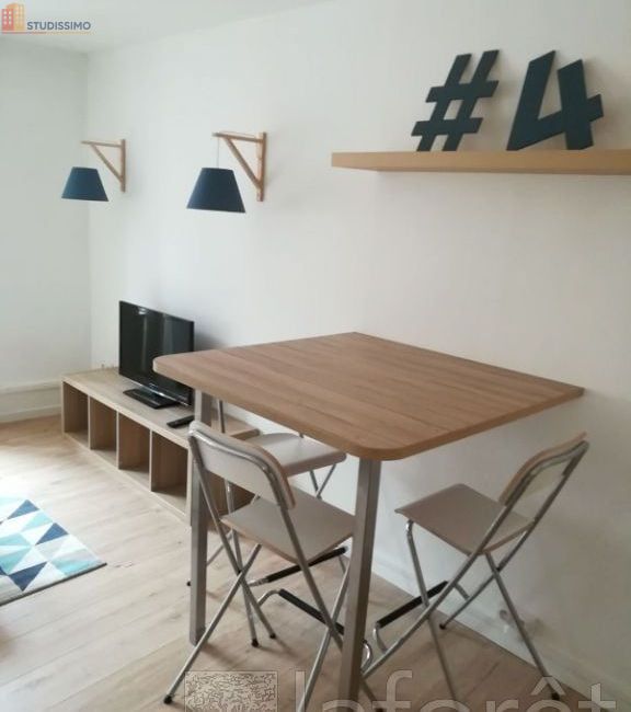 Studio 28m² Belfort - Meublé, 3e étage - Photo 3