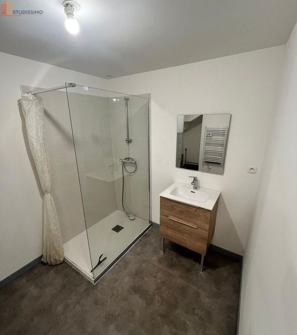 Studio 55m² Saint-Junien - Lumineux, spacieux - Photo 1