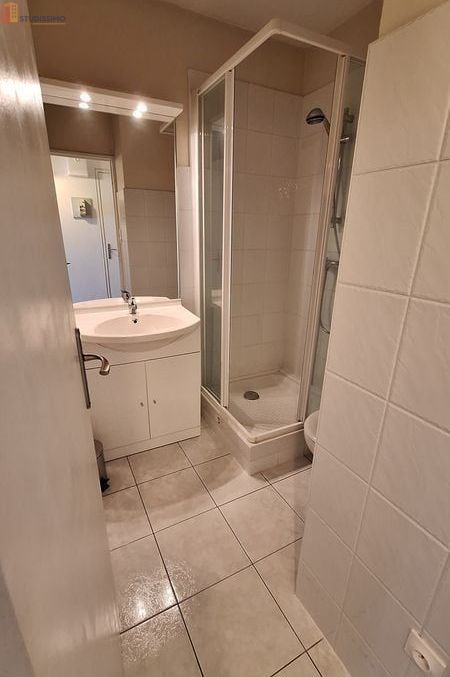 Studio meublé 24m² Limoges centre - Lumineux, dernier étage - Photo 1