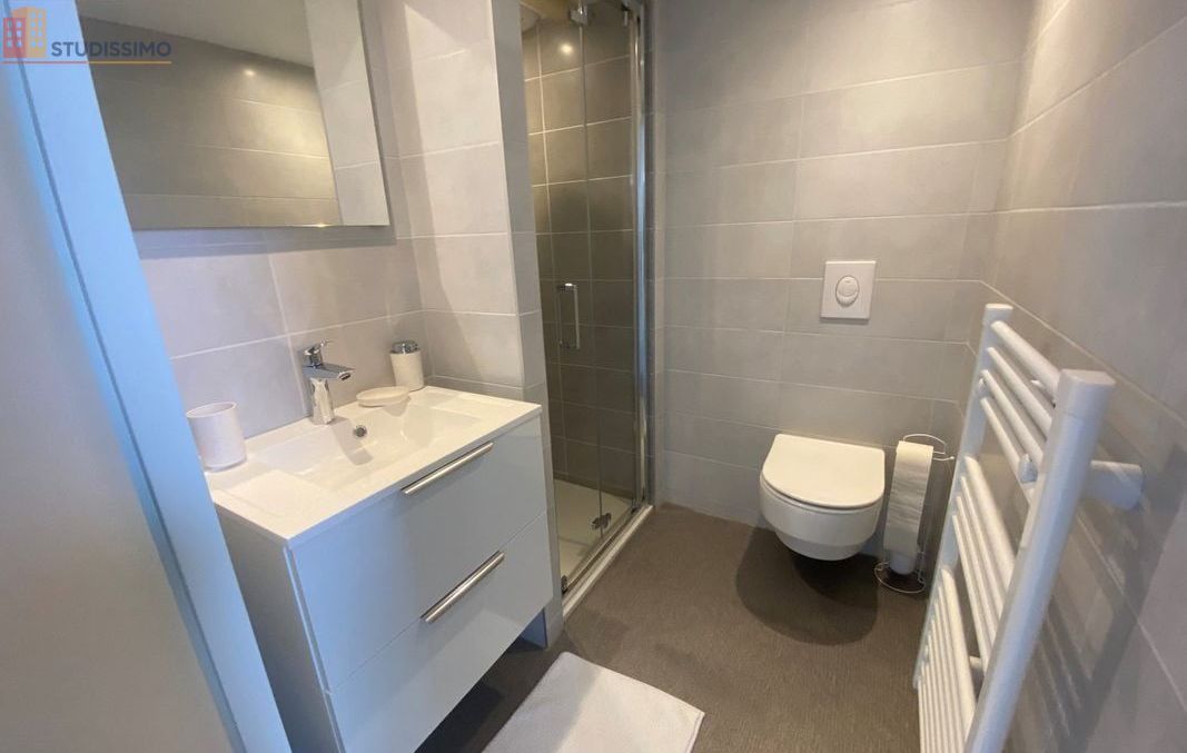 Studio meublé 22m² Belfort - Meublé, DPE C - Photo 4