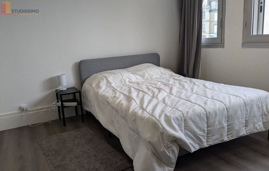 Studio 44m² Limoges - 1er étage, DPE D - Photo 14