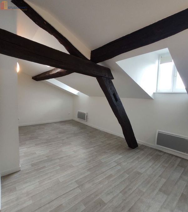 Studio 25m² Limoges centre-ville - grand séjour, lumineux - Photo 3