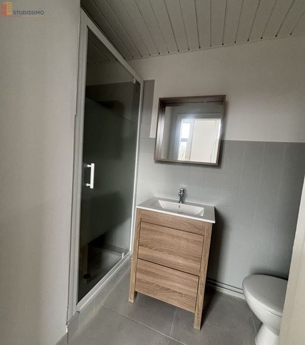 Studio meublé 24m² Belfort - Meublé, 1er étage - Photo 3