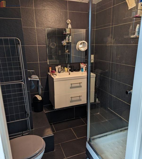 Studio 25m² Limoges 87000 - Meublé, proche hypercentre - Photo 5