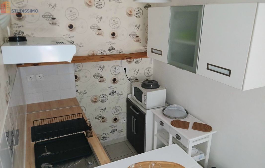 Studio meublé 31m² Limoges 87000 - Terrasse, parking - Photo 6