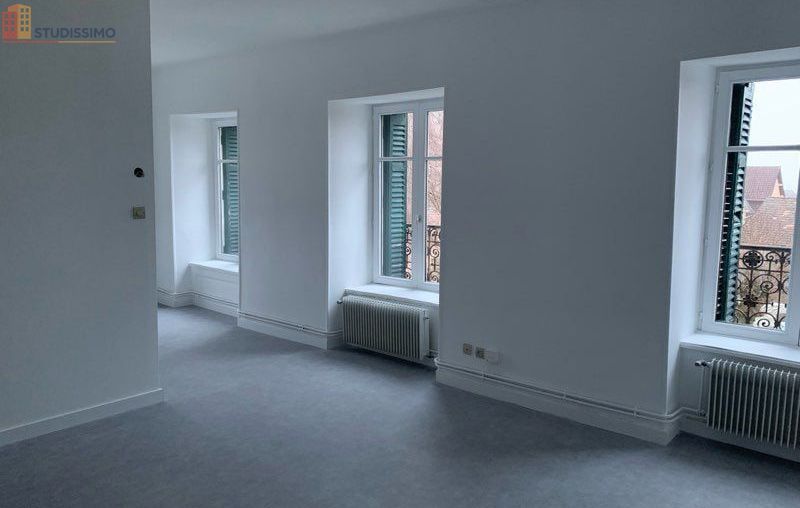 Studio 35m² Giromagny - 2e étage, lumineux - Photo 2