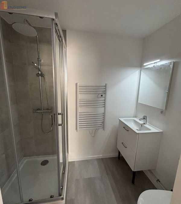 Studio meublé 16m² Belfort - Meublé, DPE D - Photo 3