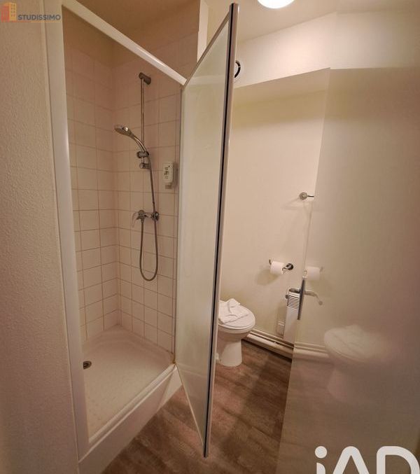 Studio 19m² Le Mans - DPE C - Photo 4