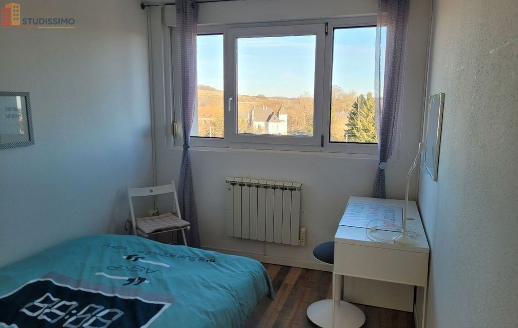 Studio meublé 26m² Belfort - Lumineux, dernier étage - Photo 2