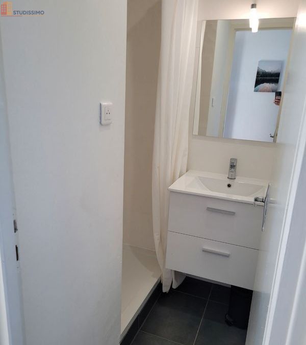 Studio meublé 26m² Belfort - Lumineux, dernier étage - Photo 1