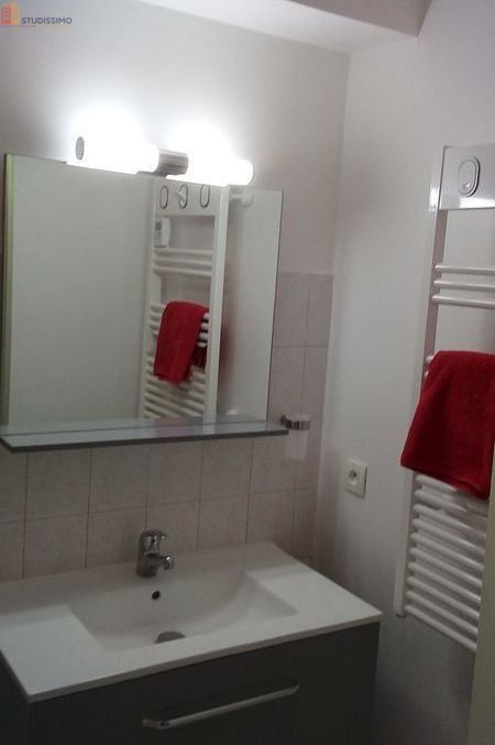 Studio meublé 25m² Savigny-sur-Orge - Box, meublé - Photo 1