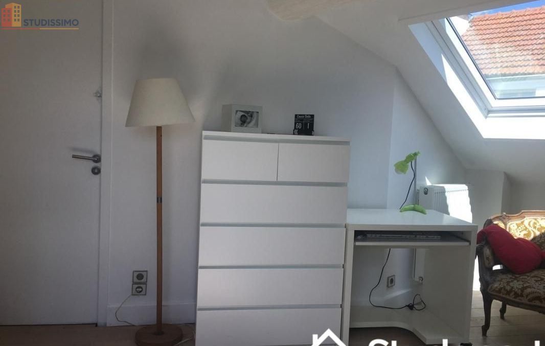 Studio meublé 25m² Verrières-le-Buisson - Meublé, DPE A - Photo 4