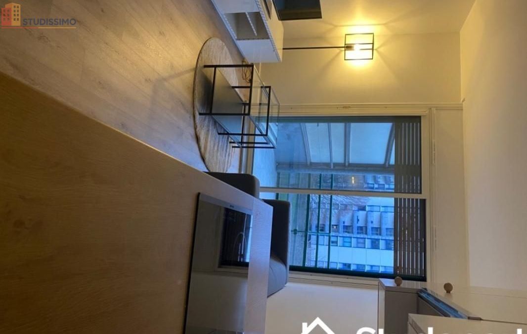 Studio meublé 9m² Massy - Meublé, 4e étage - Photo 6