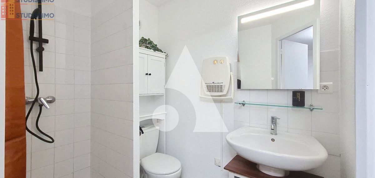 Studio 20m² Albi - Lumineux, DPE C - Photo 3