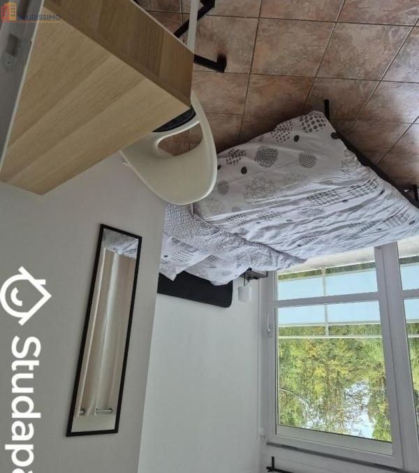Studio meublé 9m² Ris-Orangis - Meublé, DPE C - Photo 6