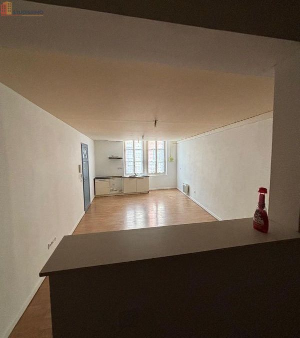 Studio 52m² Montauban - lumineux, spacieux - Photo 2