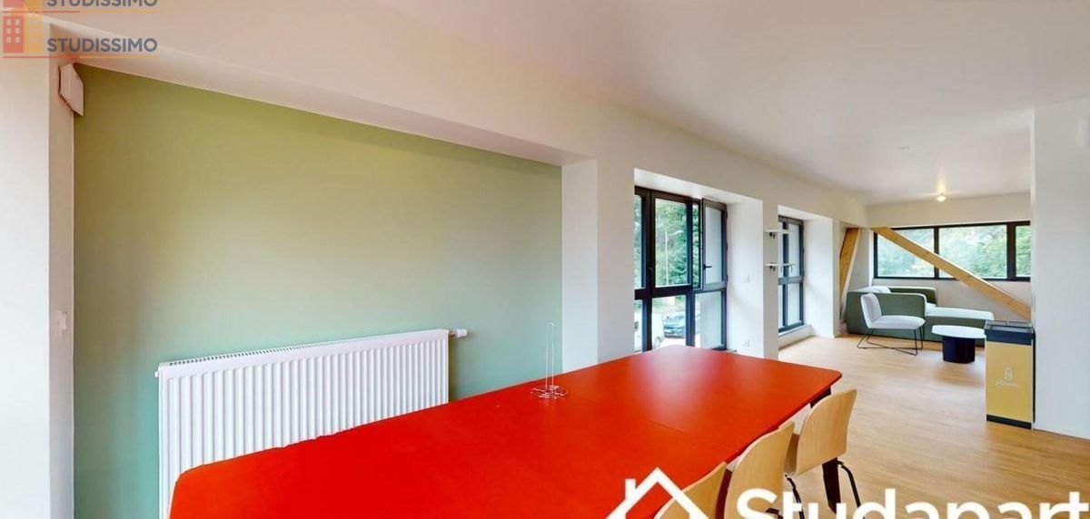 Studio meublé 13m² Orsay - Meublé, DPE A - Photo 4