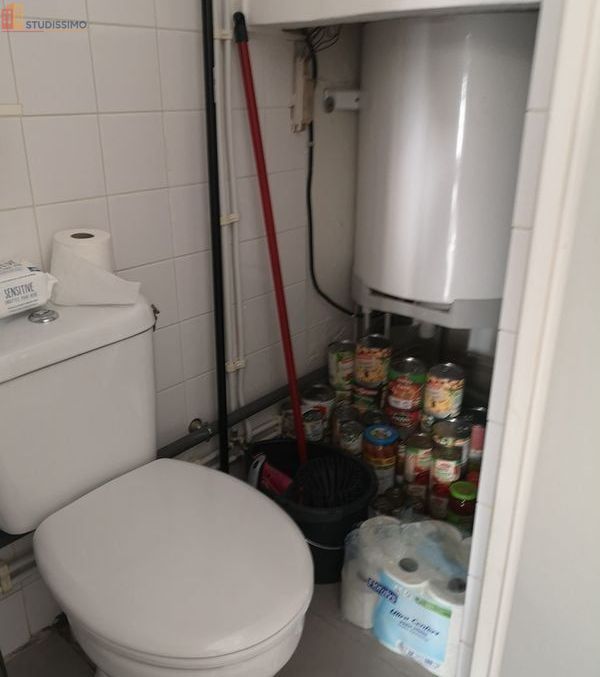 Studio meublé 18m² Ballainvilliers 91160 - Meublé, DPE D - Photo 6