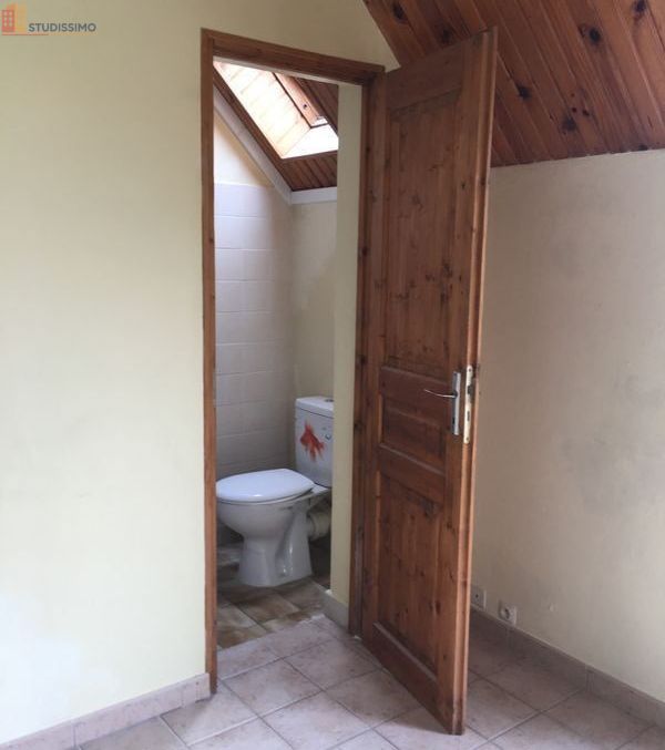 Studio 20m² Verrières-le-Buisson - Lumineux, DPE D - Photo 18
