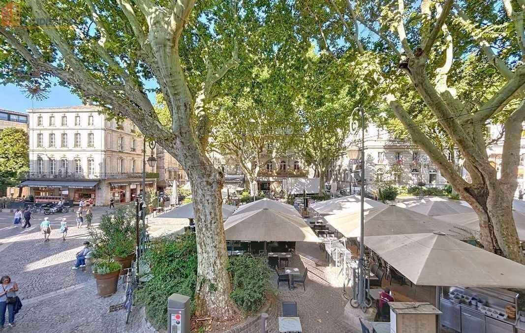 Studio 42m² Avignon - Lumineux, proche centre-ville - Photo 5