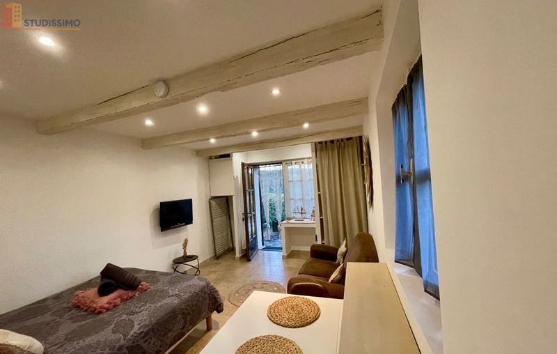 Studio 21m² Viens - (aucune caractéristique) - Photo 8