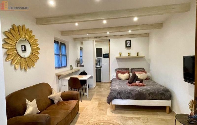 Studio 21m² Viens - (aucune caractéristique) - Photo 6