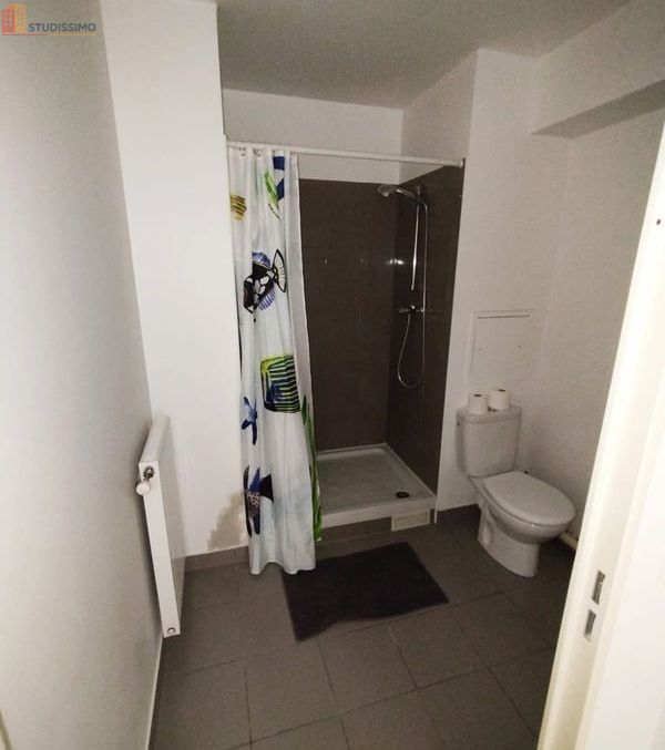 Studio meublé 30m² Juvisy-sur-Orge - Grand, lumineux - Photo 1