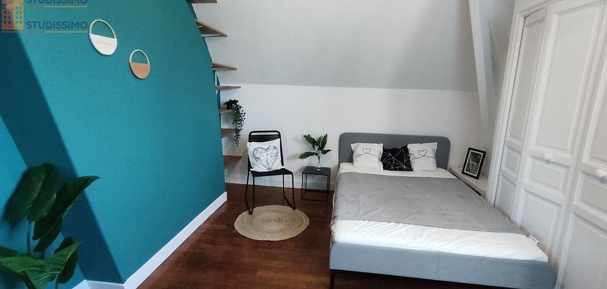 Studio meublé 16m² Palaiseau - Meublé, lumineux - Photo 4