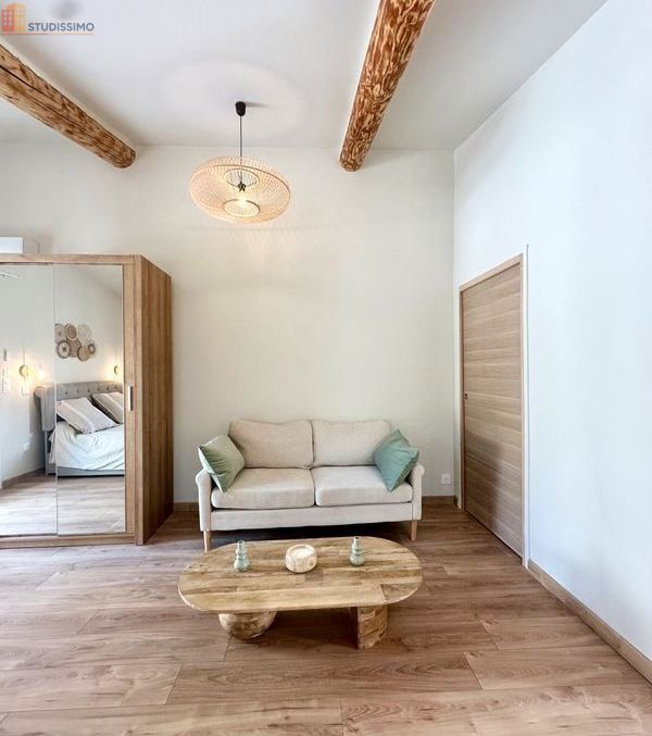 Studio meublé 34m² L'Isle-sur-la-Sorgue - Saint-Antoine, lumineux - Photo 6