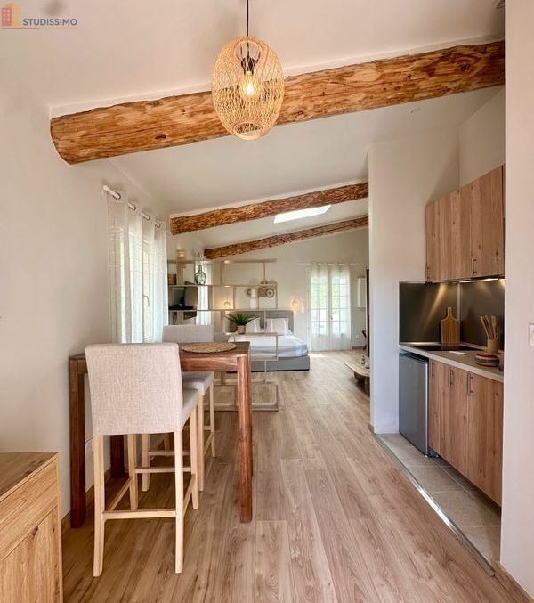 Studio meublé 34m² L'Isle-sur-la-Sorgue - Saint-Antoine, lumineux - Photo 2