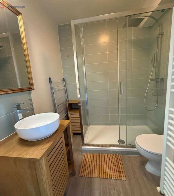 Studio meublé 30m² Antony 92160 - Refait à neuf, proche RER B - Photo 4