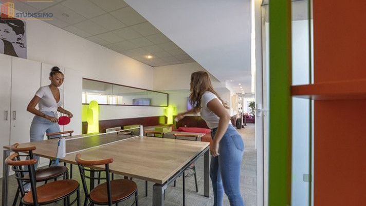 Studio 18m² Boulogne-Billancourt - Meublé, étage élevé - Photo 10