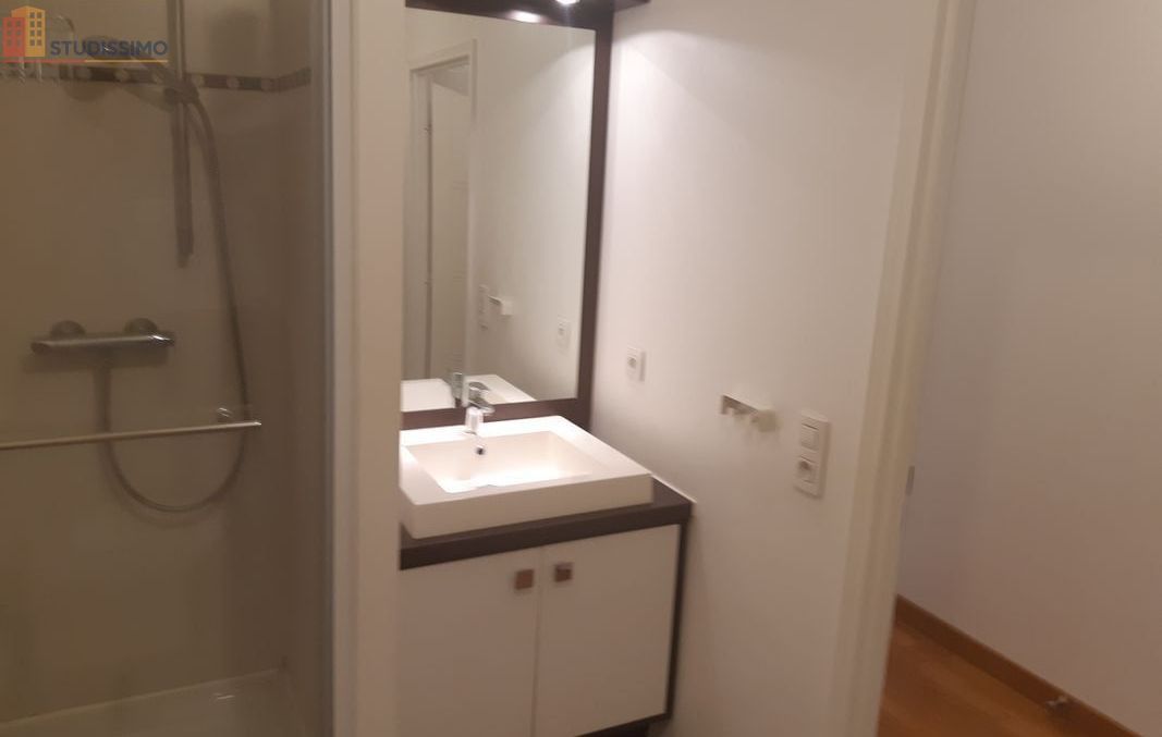 Studio 28m² Issy-les-Moulineaux - Terrasse, récent - Photo 1