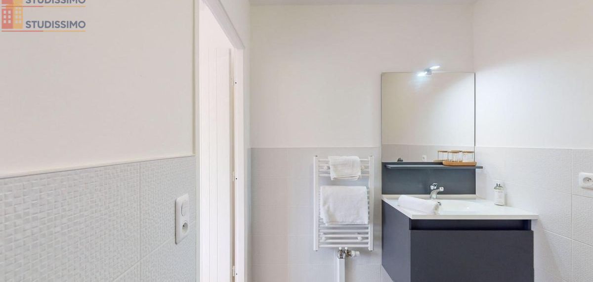 Studio meublé 50m² Clamart 92140 - Lumineux, spacieux - Photo 5