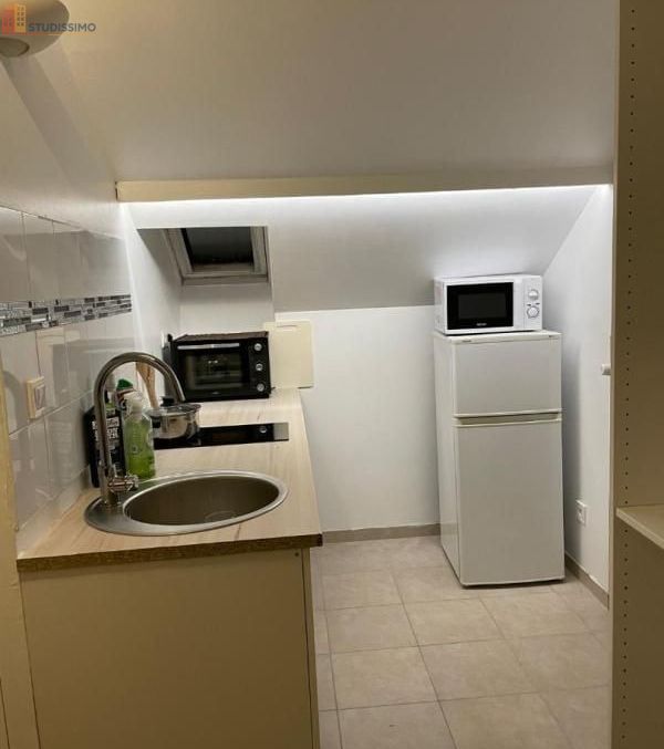 Studio meublé 10m² Antony 92160 - Meublé, DPE C - Photo 2